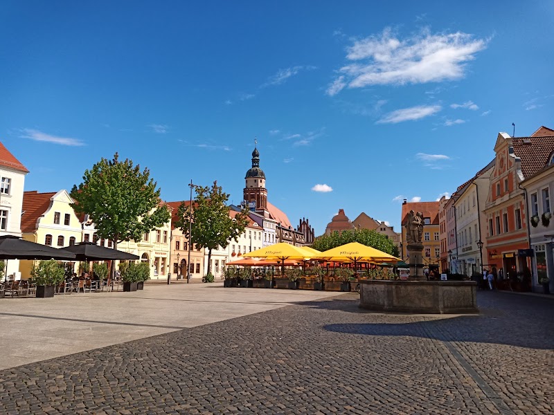 Branitz Park and Schloss Branitz - Cottbus - Germany - booked ai