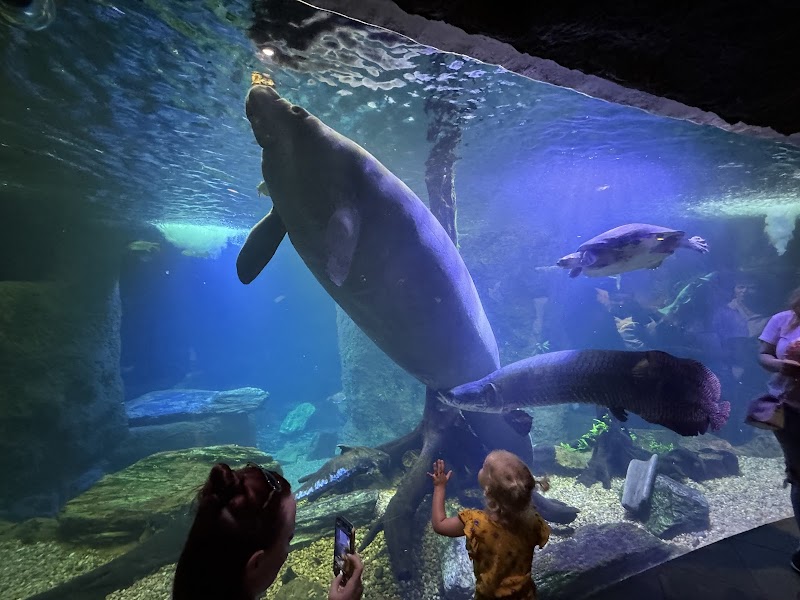 Dallas World Aquarium - Dallas - United States - booked ai