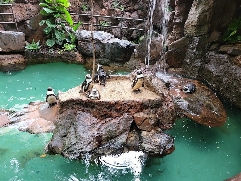 Dallas World Aquarium - Dallas - United States - booked ai