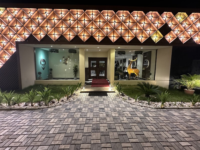 Cilantro Kano - Kano - Nigeria - booked ai