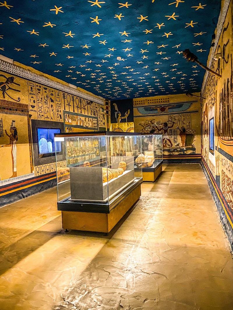 Visit the Déri Museum - Debrecen - Hungary - booked ai