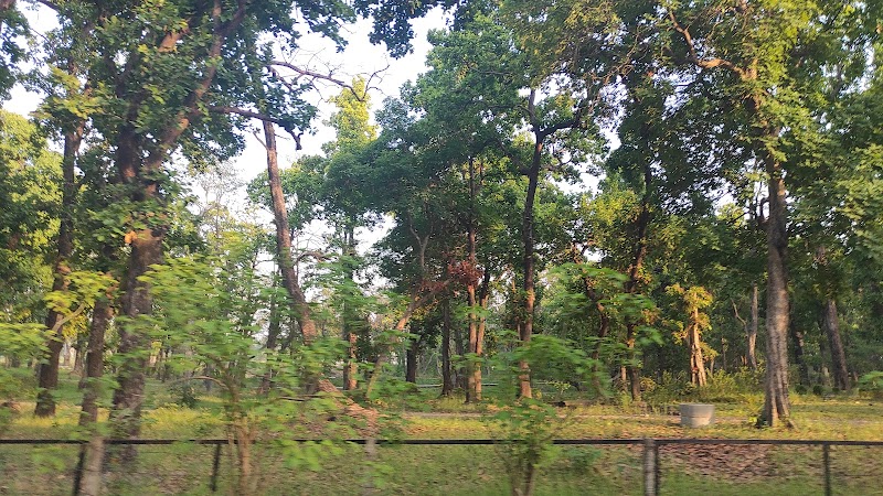 Visit the Botanical Garden in Godawari - Godawari - Nepal - booked ai