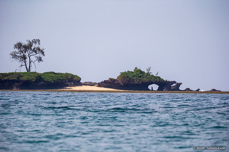 Snorkeling and Diving at Kisite-Mpunguti Marine Park - Mombasa - Kenya - booked ai