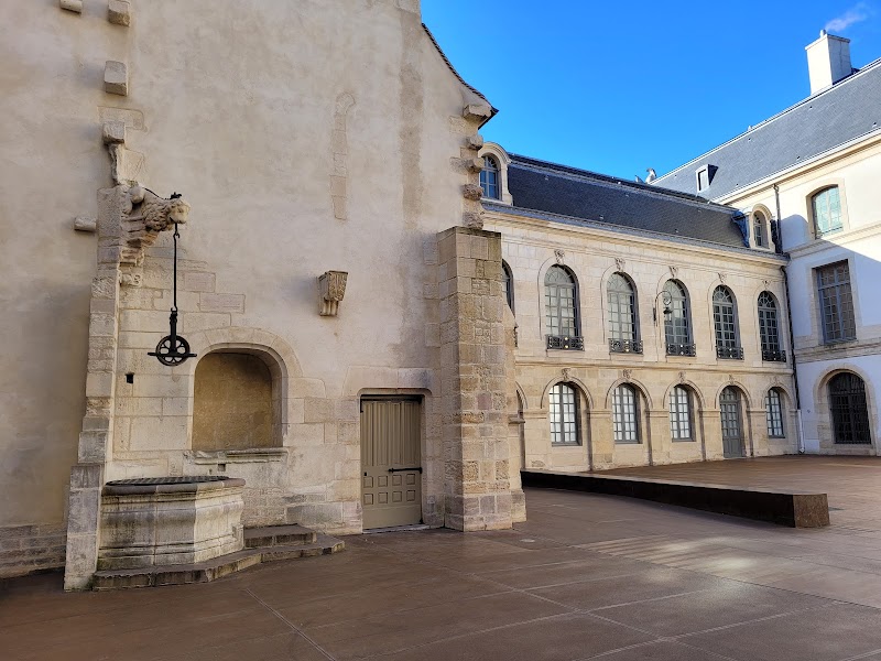 Visit the Palace of the Dukes and the Museum of Fine Arts - Dijon - France - booked ai