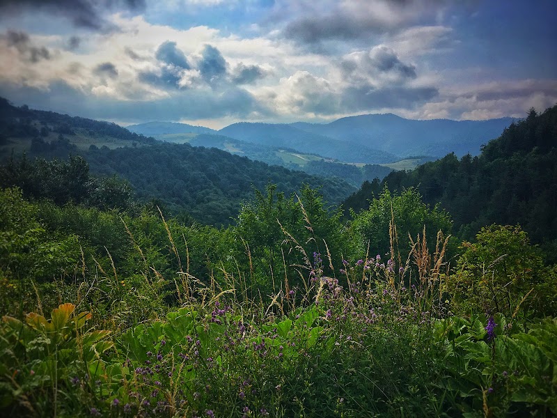 Hiking in Dilijan National Park - Haghartsin - Armenia - booked ai