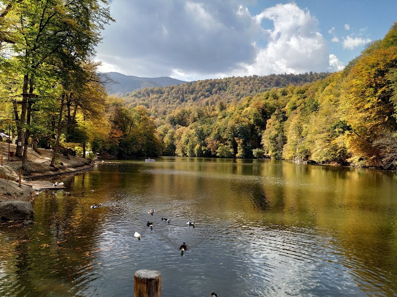 Hiking in Dilijan National Park - Haghartsin - Armenia - booked ai