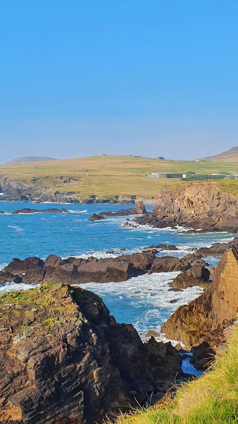 Drive or cycle the Slea Head Drive - Dingle - Ireland - booked ai