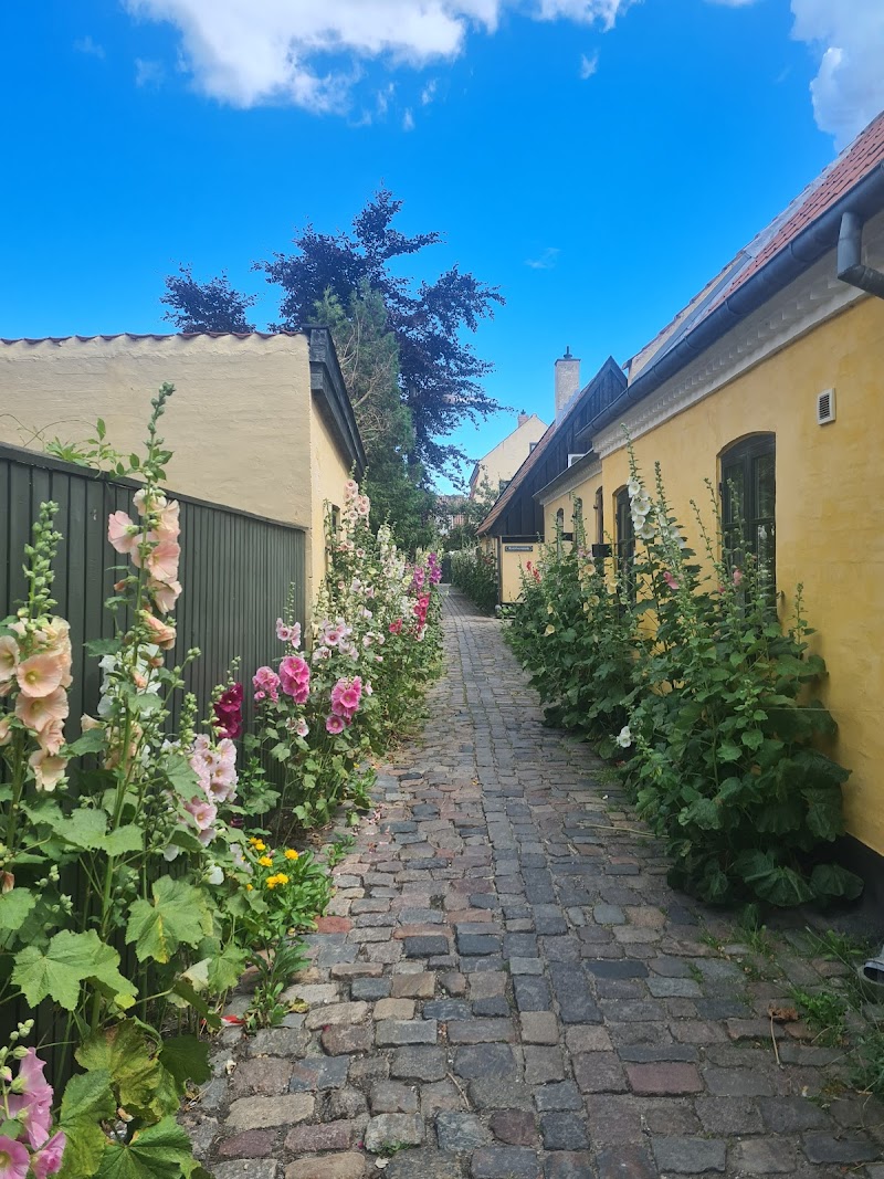 Explore the Dragør Old Town - Dragør - Denmark - booked ai