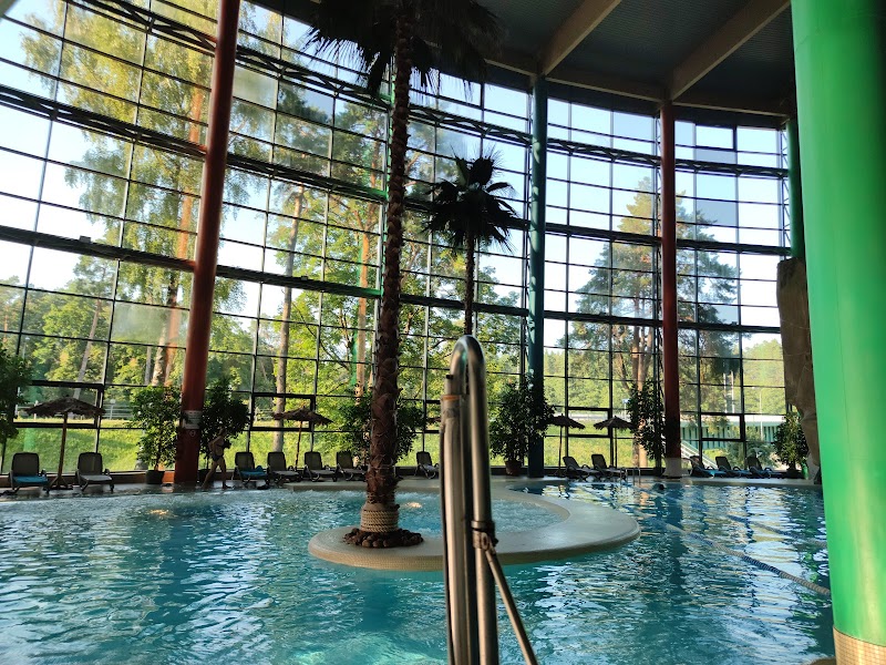 Druskininkai Aqua Park - Druskininkai - Lithuania - booked ai