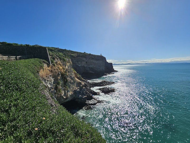 Visit the Royal Albatross Centre at Taiaroa Head - Harington Point - New Zealand - booked ai