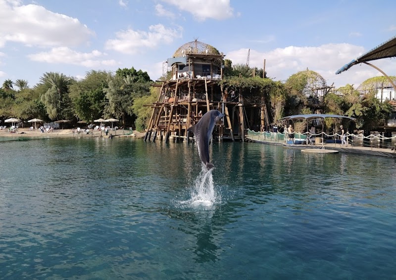 Dolphin Reef - Eilat - Israel - booked ai