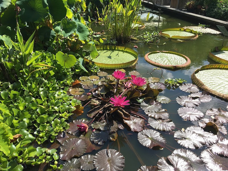 Botanischer Garten Erlangen - Erlangen - Germany - booked ai