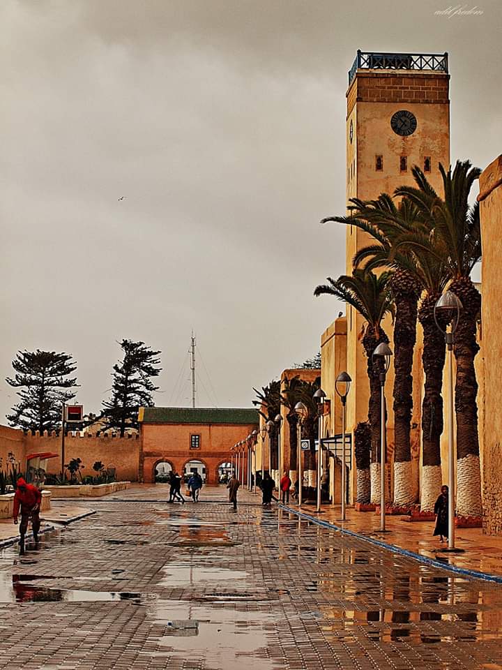 Explore the Medina of Essaouira - Essaouira - Morocco - booked ai