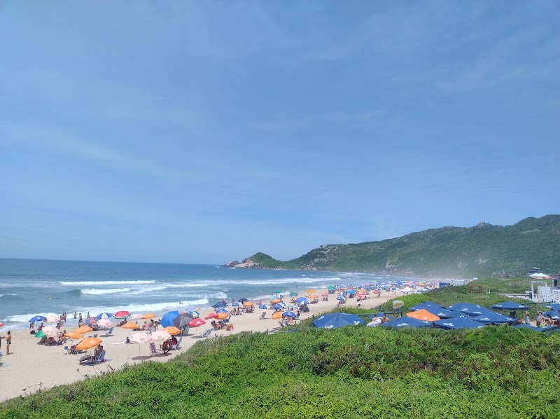 Relax on Praia Mole - Florianópolis - Brazil - booked ai
