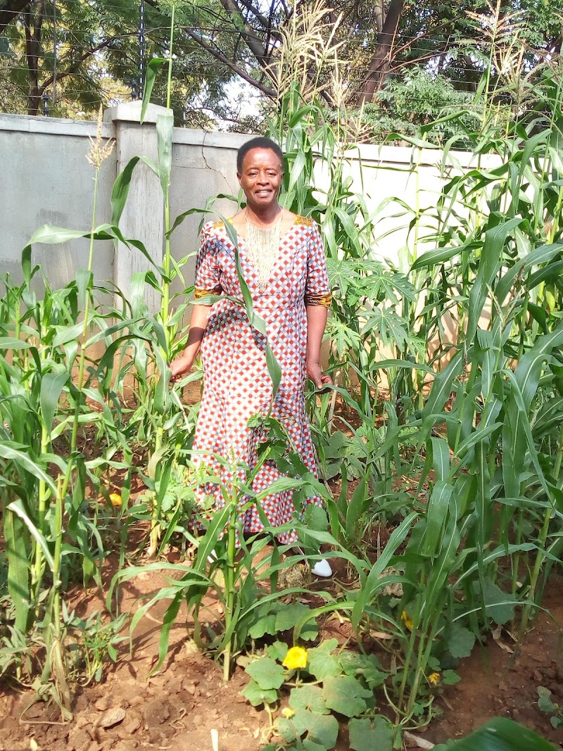 Visit Supa Ngwao Museum - Francistown - Botswana - booked ai