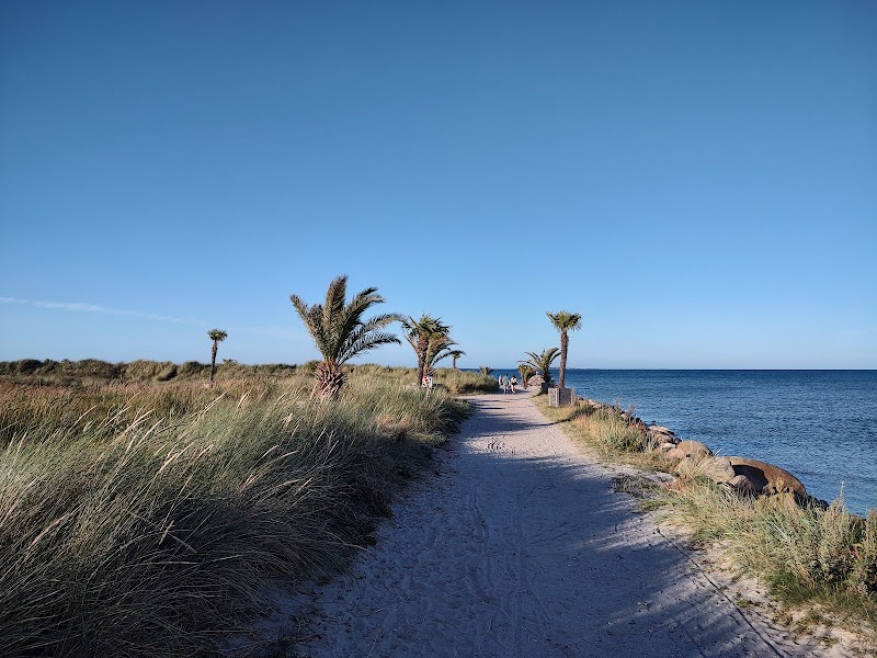 Palm Beach (Palmestranden) - Frederikshavn - Denmark - booked ai