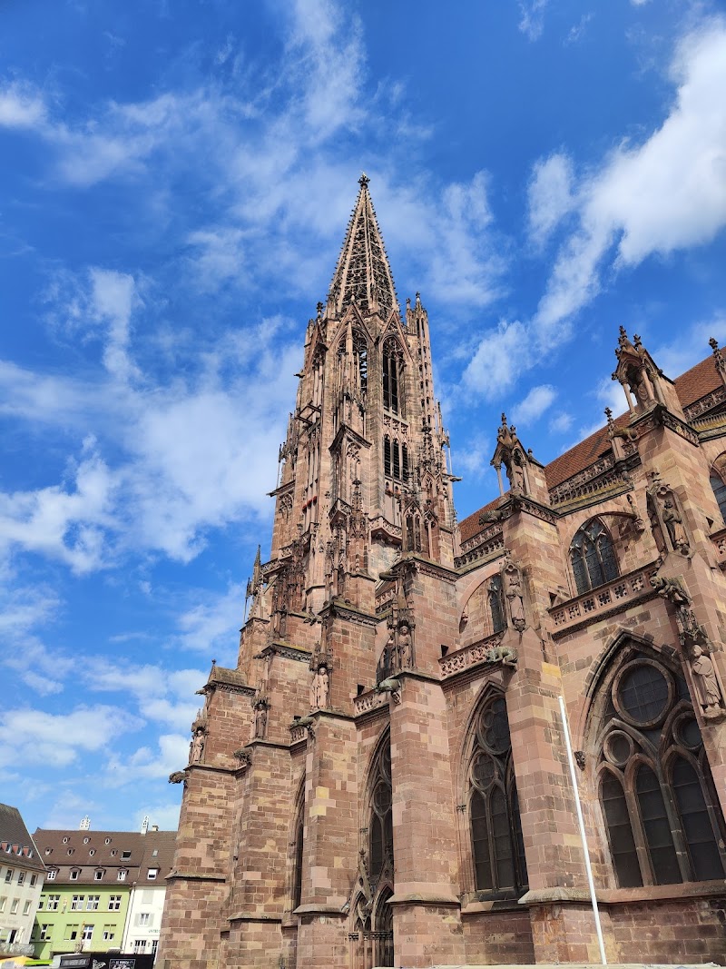 Explore Freiburg Münster (Freiburg Cathedral) - Freiburg im Breisgau - Germany - booked ai