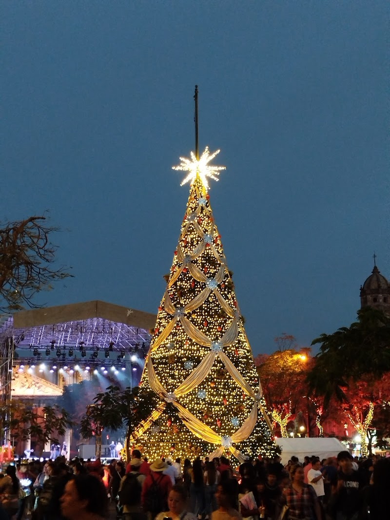 Visit the historic center and Guadalajara Cathedral - Guadalajara - Mexico - booked ai