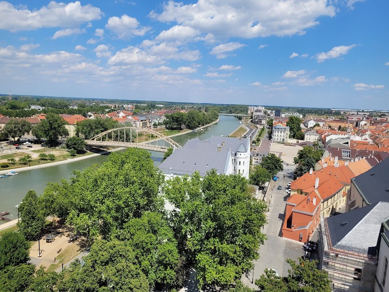 Explore the Baroque Old Town - Győr - Hungary - booked ai