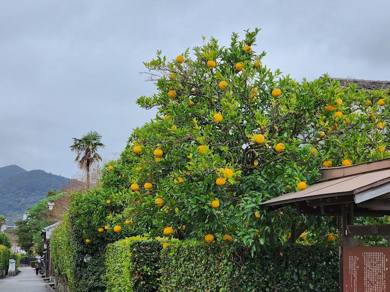 Explore Hagi Castle Town - Hagi - Japan - booked ai