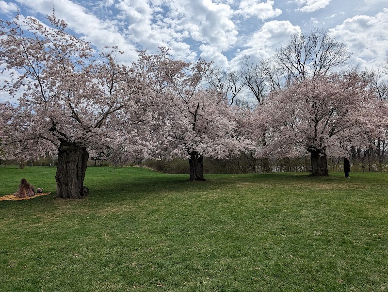 Royal Botanical Gardens - Hamilton - Canada - booked ai