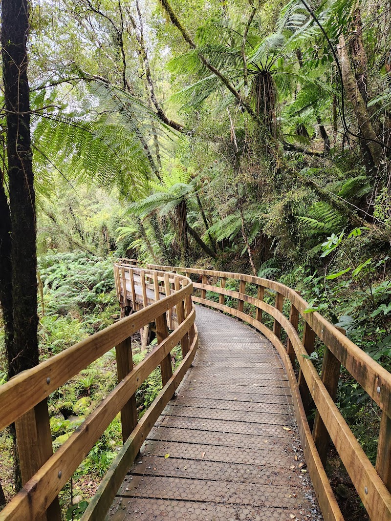 Hokitika Gorge Walk - Kokatahi - New Zealand - booked ai