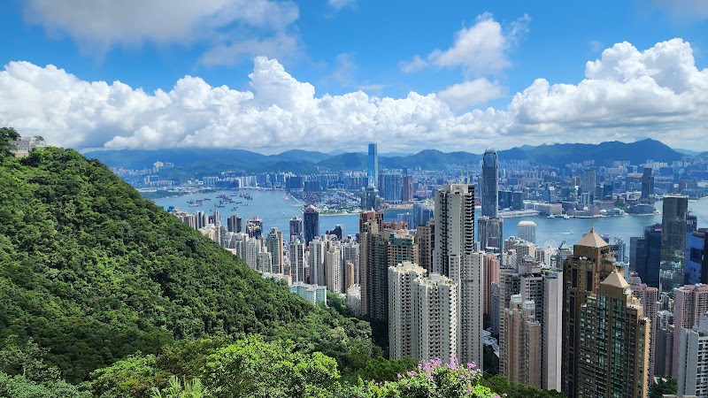Victoria Peak (The Peak) - Hong Kong - Hong Kong - booked ai