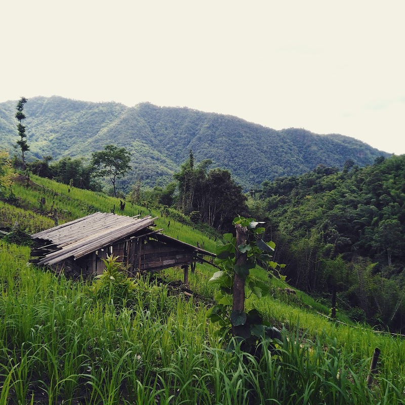Trekking to Palaung Villages - Hsipaw - Myanmar (Burma) - booked ai