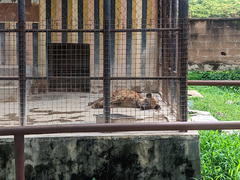 Explore the University of Ibadan Zoological Garden - Ibadan - Nigeria - booked ai