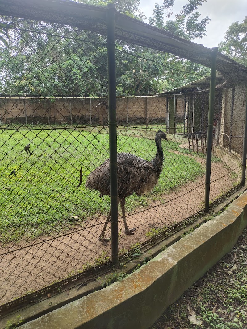 Explore the University of Ibadan Zoological Garden - Ibadan - Nigeria - booked ai