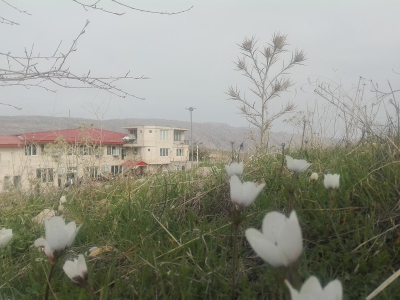 Visit the Zagros Mountains - Ilam - Iran - booked ai