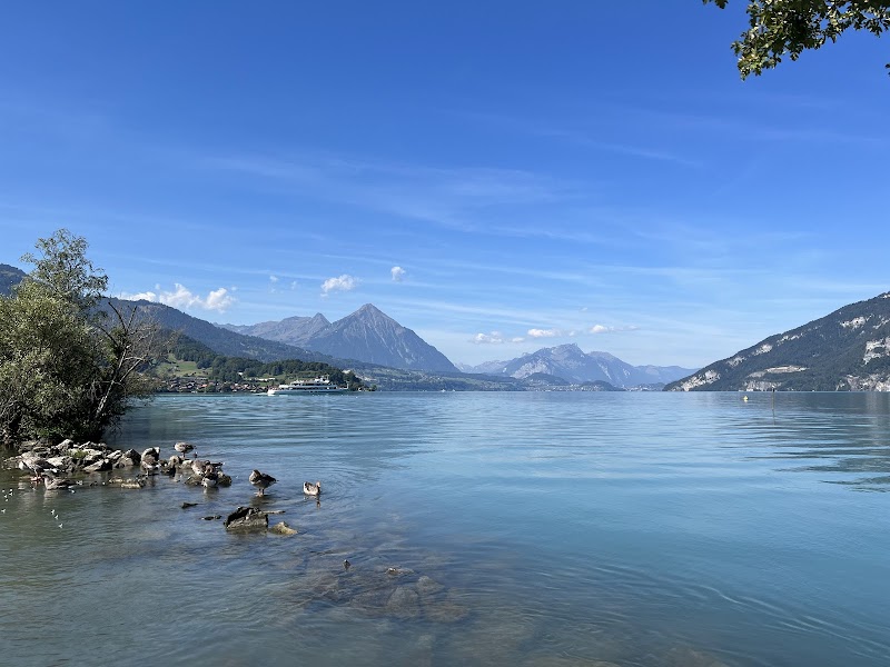 Harder Kulm - Unterseen - Switzerland - booked ai