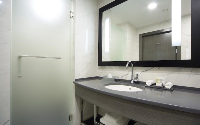 DoubleTree by Hilton Kazan City Center - Kazan - Russia - booked ai