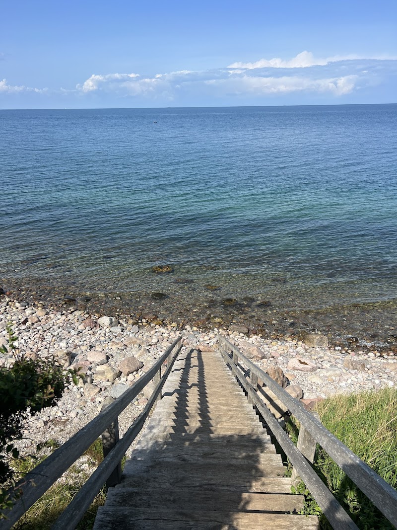 Hike in Røsnæs Peninsula and enjoy coastal views - Kalundborg - Denmark - booked ai