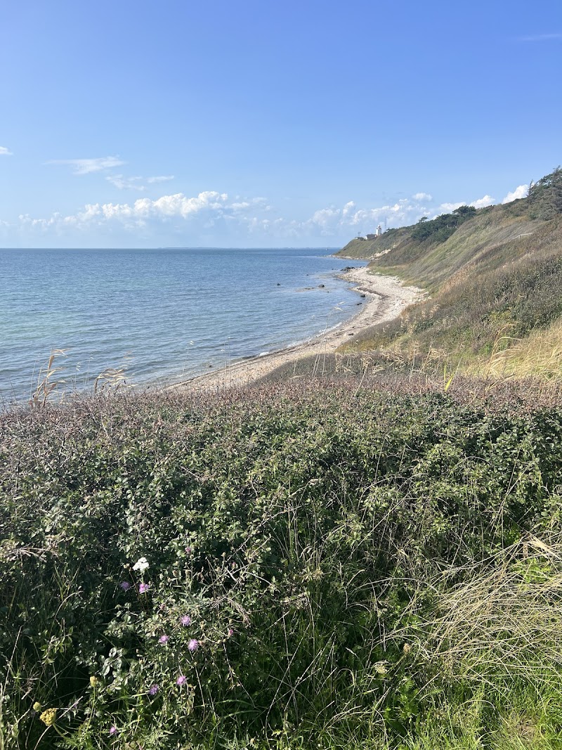 Hike in Røsnæs Peninsula and enjoy coastal views - Kalundborg - Denmark - booked ai