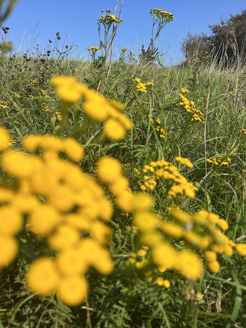 Hike in Røsnæs Peninsula and enjoy coastal views - Kalundborg - Denmark - booked ai