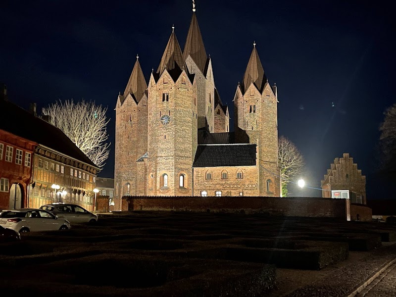Visit the Kalundborg Medieval Church (Vor Frue Kirke) - Kalundborg - Denmark - booked ai