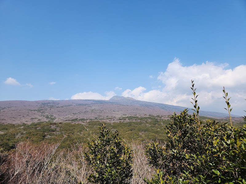 Manjanggul Lava Tube - Jeju-si - South Korea - booked ai