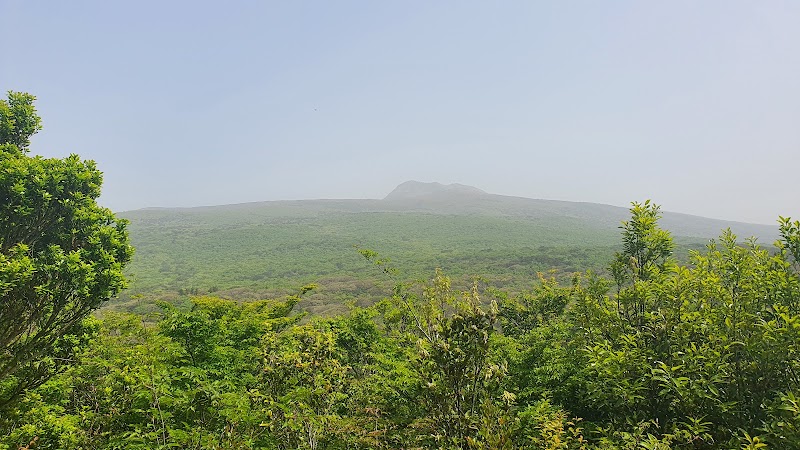 Manjanggul Lava Tube - Jeju-si - South Korea - booked ai