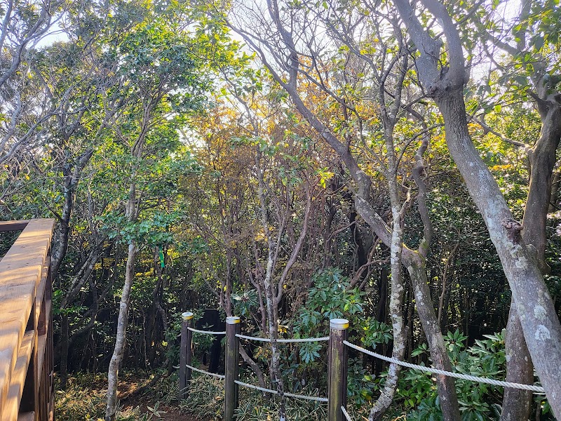 Manjanggul Lava Tube - Jeju-si - South Korea - booked ai