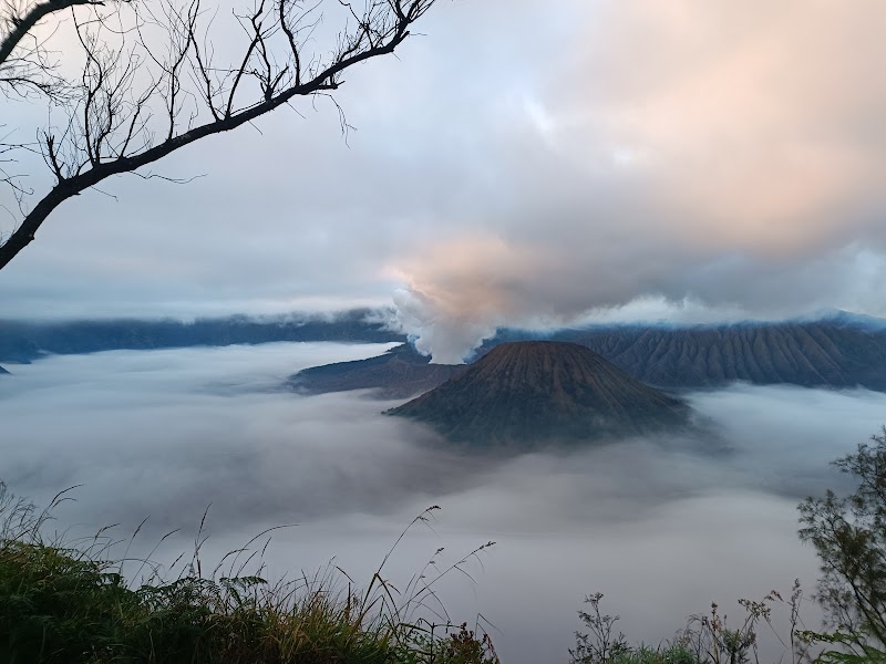 Hike Mount Bromo - Pasuruan - Indonesia - booked ai