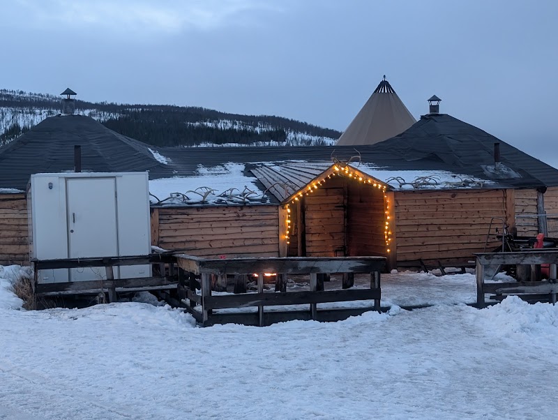 Experience a reindeer sledding tour with a Sami guide - Tromsø - Norway - booked ai
