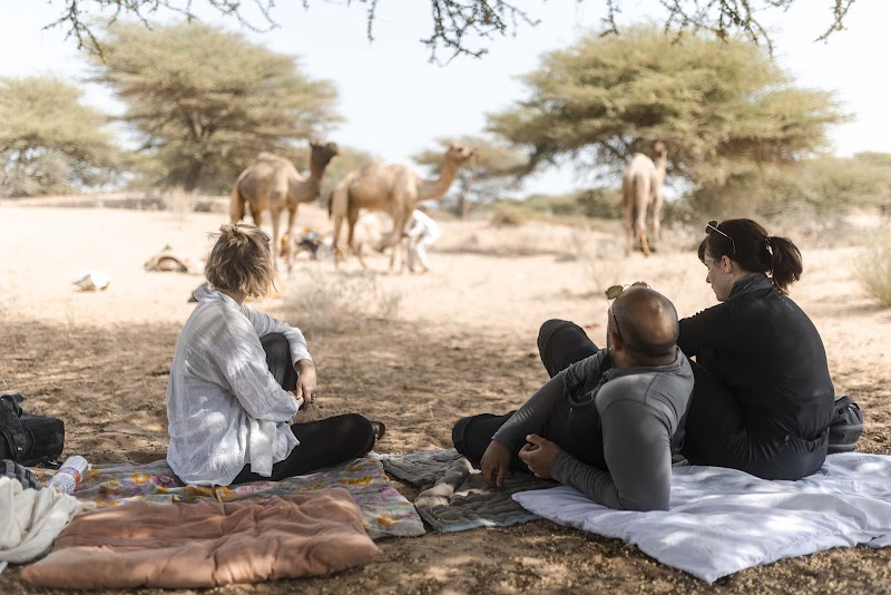 Camel Safari in the Thar Desert - Jaisalmer - India - booked ai