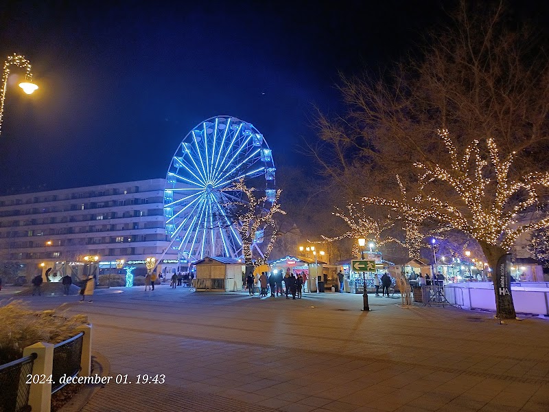 Stroll through the Main Square and see the City Hall - Kecskemét - Hungary - booked ai