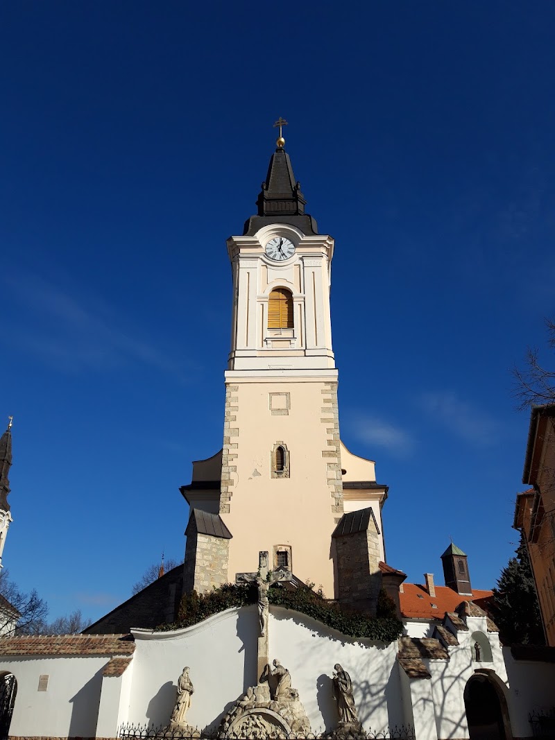 Stroll through the Main Square and see the City Hall - Kecskemét - Hungary - booked ai