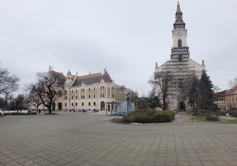 Stroll through the Main Square and see the City Hall - Kecskemét - Hungary - booked ai