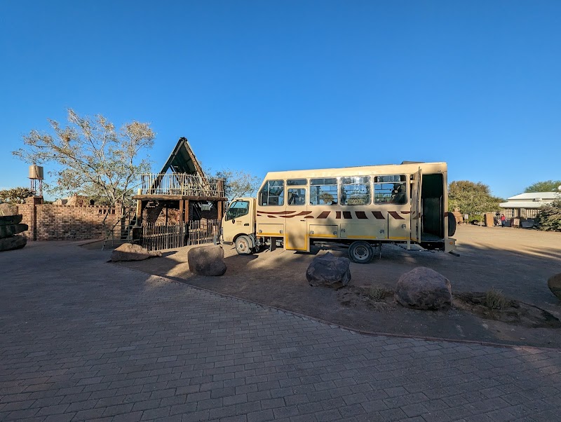 Quiver Tree Forest - Keetmanshoop - Namibia - booked ai