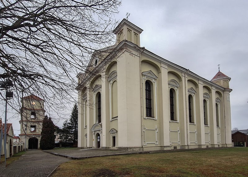 Tour the Evangelical Reformed Church and its bell tower - Kėdainiai - Lithuania - booked ai