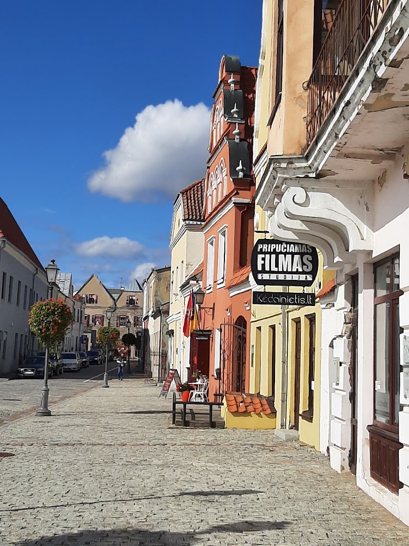 Explore the Old Town of Kedainiai - Kėdainiai - Lithuania - booked ai