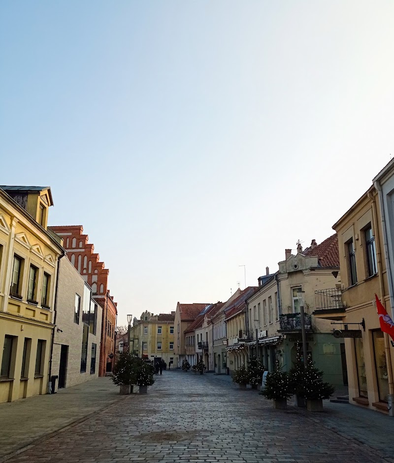 Explore Old Town (Senamiestis) - Kaunas - Lithuania - booked ai